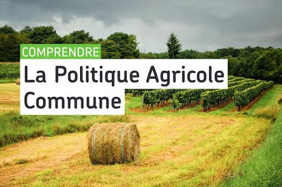 Comprendre la PAC et bien faire sa télédéclaration